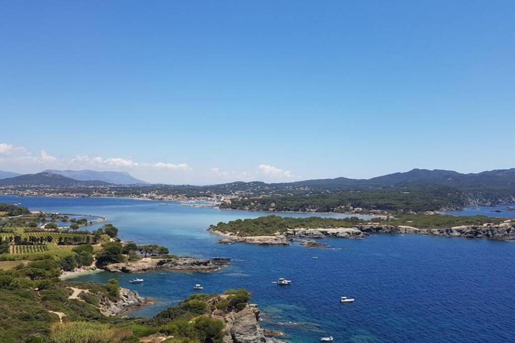 Magnifique Rez De Jardin & Piscine & Bord De Mer Daire Six-Fours-les-Plages Dış mekan fotoğraf